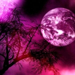 Meet your Posher, Roxi